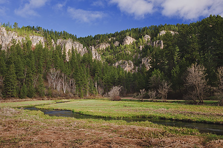 Spearfish Canyon in Spring, Black Hills, SD